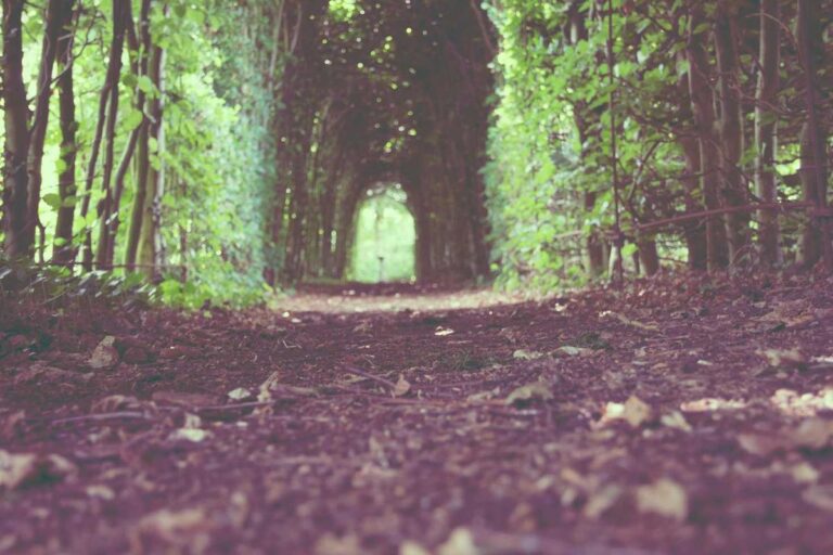 Tinubu sets 7% annual growth target by 2027